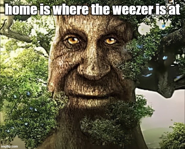 tree | home is where the weezer is at | image tagged in tree | made w/ Imgflip meme maker