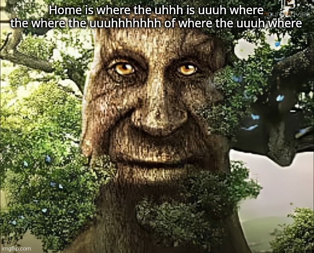 tree | Home is where the uhhh is uuuh where the where the uuuhhhhhhh of where the uuuh where | image tagged in tree | made w/ Imgflip meme maker