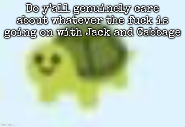 Thinking that they gonna kts just for having a hard situation is put of charts (no offense) | Do y’all genuinely care about whatever the fuck is going on with Jack and Cabbage | image tagged in low quality turtle,msmg | made w/ Imgflip meme maker