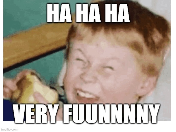 HaHaHa Very Funny | HA HA HA; VERY FUUNNNNY | made w/ Imgflip meme maker