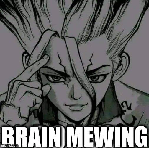 senku dongo | BRAIN MEWING | image tagged in senku dongo | made w/ Imgflip meme maker