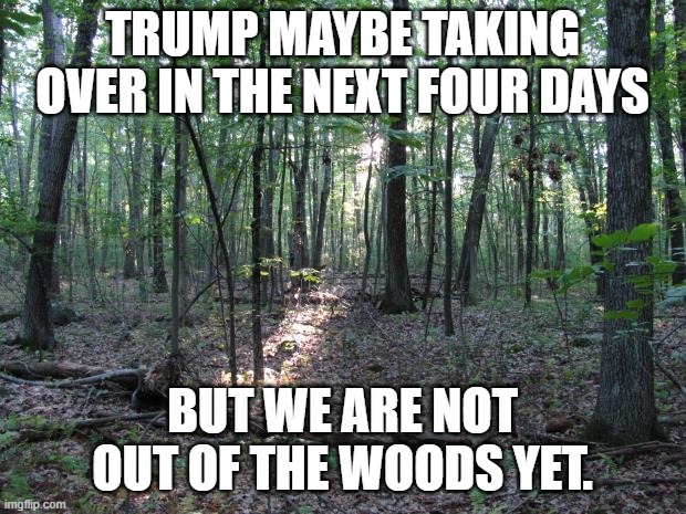 WE Are still at risk, we Must keep a Close eye on everything. | TRUMP MAYBE TAKING OVER IN THE NEXT FOUR DAYS; BUT WE ARE NOT OUT OF THE WOODS YET. | image tagged in woods,trump,country | made w/ Imgflip meme maker