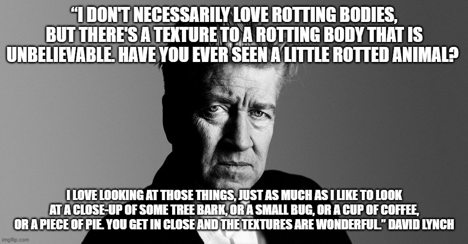 David Lynch | “I DON'T NECESSARILY LOVE ROTTING BODIES, BUT THERE'S A TEXTURE TO A ROTTING BODY THAT IS UNBELIEVABLE. HAVE YOU EVER SEEN A LITTLE ROTTED ANIMAL? I LOVE LOOKING AT THOSE THINGS, JUST AS MUCH AS I LIKE TO LOOK AT A CLOSE-UP OF SOME TREE BARK, OR A SMALL BUG, OR A CUP OF COFFEE, OR A PIECE OF PIE. YOU GET IN CLOSE AND THE TEXTURES ARE WONDERFUL.” DAVID LYNCH | image tagged in david lynch,dead celebrities,movies | made w/ Imgflip meme maker