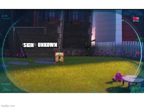 SKIN UNKOWN | image tagged in blank white template | made w/ Imgflip meme maker