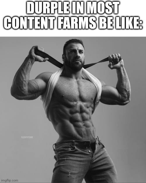 Most of them I see | DURPLE IN MOST CONTENT FARMS BE LIKE: | image tagged in elaborate | made w/ Imgflip meme maker