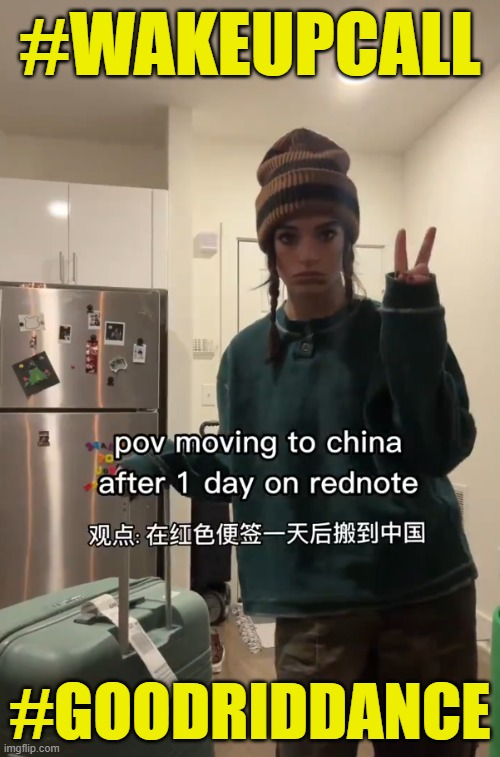 This will not end well, but #Thintheherd self deportation | #WAKEUPCALL; #GOODRIDDANCE | image tagged in china,tiktok,tik tok,freedom of speech,first amendment,deportation | made w/ Imgflip meme maker