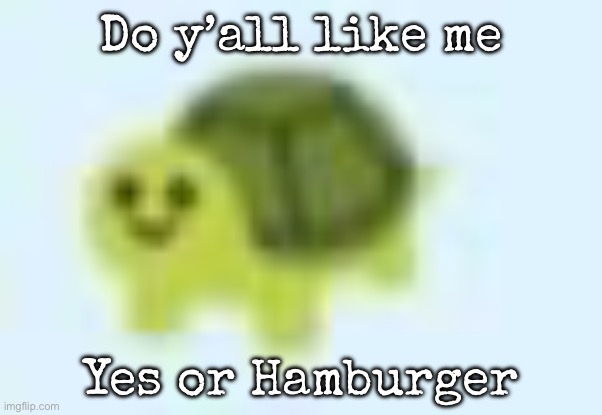 low quality turtle | Do y’all like me; Yes or Hamburger | image tagged in low quality turtle,msmg | made w/ Imgflip meme maker