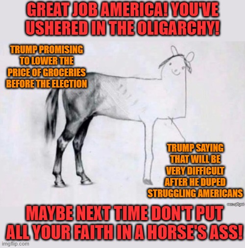 The dumbing of America is complete. From this point it will be self-reinforcing. Which is not to say it can't get dumber... ;) | GREAT JOB AMERICA! YOU'VE USHERED IN THE OLIGARCHY! TRUMP PROMISING TO LOWER THE PRICE OF GROCERIES BEFORE THE ELECTION; TRUMP SAYING THAT WILL BE VERY DIFFICULT AFTER HE DUPED STRUGGLING AMERICANS; MAYBE NEXT TIME DON'T PUT ALL YOUR FAITH IN A HORSE'S ASS! | image tagged in horse drawing,memes,politics | made w/ Imgflip meme maker