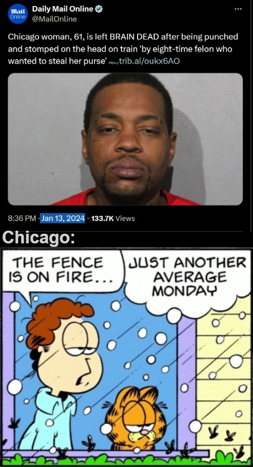 Chicago: | image tagged in chicago,crime,american politics,news,garfield | made w/ Imgflip meme maker