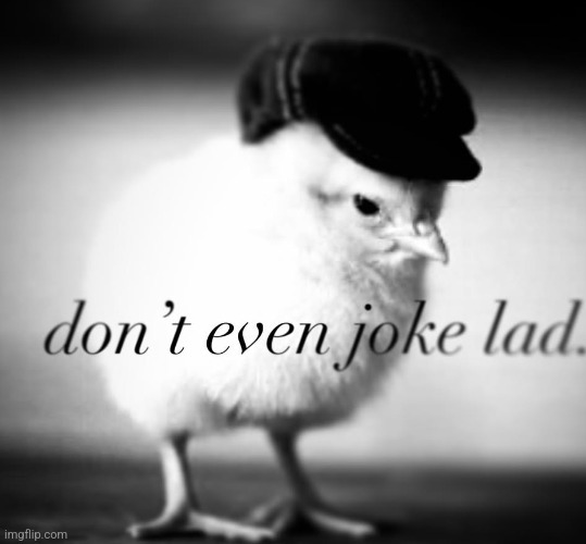 don't even joke lad | image tagged in don't even joke lad | made w/ Imgflip meme maker