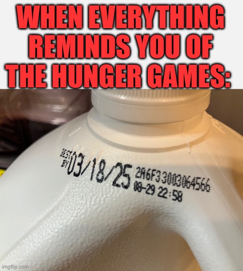 MARCH 18 2025!!!!! | WHEN EVERYTHING REMINDS YOU OF THE HUNGER GAMES: | image tagged in short white template,hunger games | made w/ Imgflip meme maker