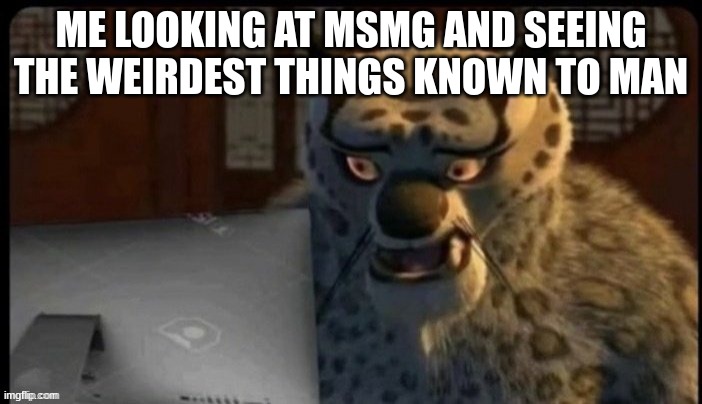 Better now | ME LOOKING AT MSMG AND SEEING THE WEIRDEST THINGS KNOWN TO MAN | image tagged in tai lung staring at computer screen | made w/ Imgflip meme maker