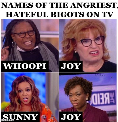 Hard to pick the 'number one angriest' among these lovelies... | image tagged in whoopi joy sunny joy,happy names,angry women,nasty,names of angry hateful bigots,toxic | made w/ Imgflip meme maker