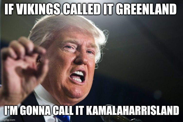 donald trump | IF VIKINGS CALLED IT GREENLAND; I'M GONNA CALL IT KAMALAHARRISLAND | image tagged in donald trump | made w/ Imgflip meme maker