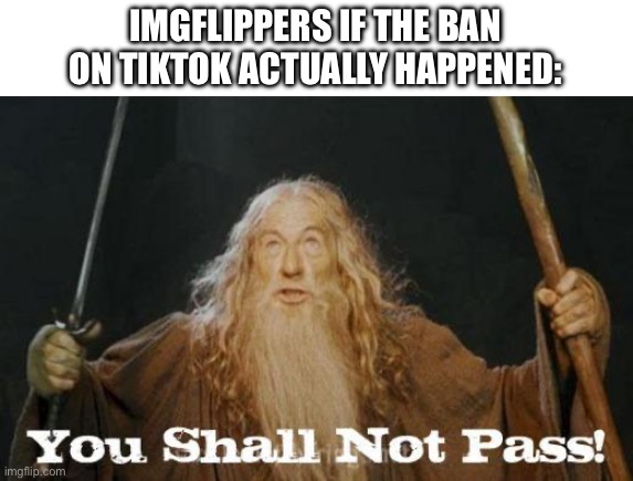 gandalf you shall not pass | IMGFLIPPERS IF THE BAN ON TIKTOK ACTUALLY HAPPENED: | image tagged in gandalf you shall not pass | made w/ Imgflip meme maker