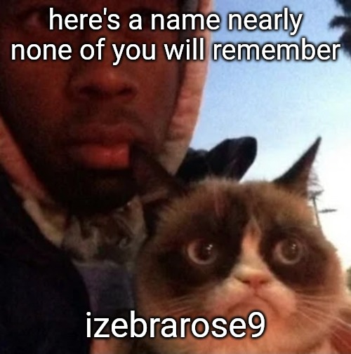 tyler the creator and grumpy cat | here's a name nearly none of you will remember; izebrarose9 | image tagged in tyler the creator and grumpy cat | made w/ Imgflip meme maker