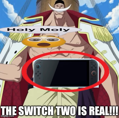 ik i'm funny guys heh,,,,, | THE SWITCH TWO IS REAL!!! | image tagged in the one piece is real | made w/ Imgflip meme maker