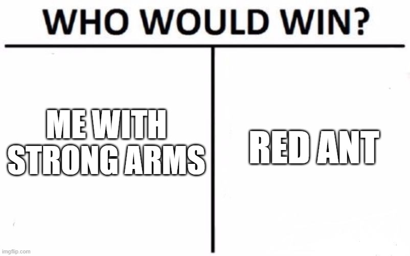 Ants | ME WITH STRONG ARMS; RED ANT | image tagged in memes,who would win | made w/ Imgflip meme maker