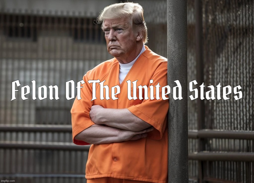 FOTUS... | image tagged in felon,potus,criminal,rapist,convict,disgrace | made w/ Imgflip meme maker