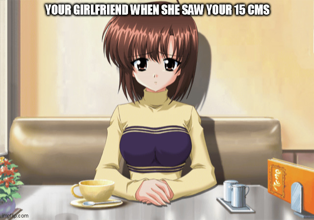 kirie sad | YOUR GIRLFRIEND WHEN SHE SAW YOUR 15 CMS | image tagged in kirie sad | made w/ Imgflip meme maker