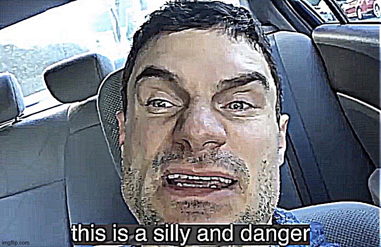 This is a silly and danger | image tagged in this is a silly and danger | made w/ Imgflip meme maker