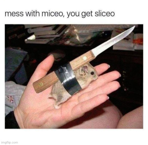 mess with the miceo you get the sliceo | image tagged in mice,slice,knife,nice,rice,thrice | made w/ Imgflip meme maker