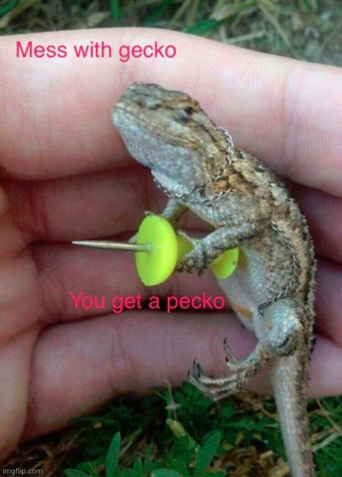 you mess with gecko you get the pecko | image tagged in gecko,pecko,uh oh,wuh oh,step bro,ruh roh | made w/ Imgflip meme maker