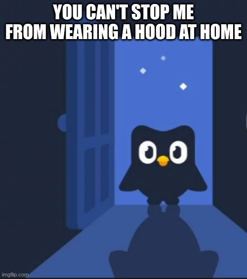 Duolingo bird | YOU CAN'T STOP ME FROM WEARING A HOOD AT HOME | image tagged in duolingo bird | made w/ Imgflip meme maker