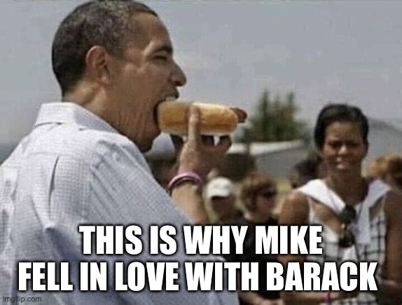 Obama Hot Dog | THIS IS WHY MIKE FELL IN LOVE WITH BARACK | image tagged in obama hot dog | made w/ Imgflip meme maker