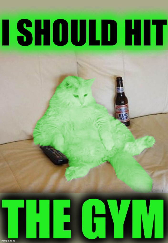 RayCat Chillin' | I SHOULD HIT THE GYM | image tagged in raycat chillin' | made w/ Imgflip meme maker