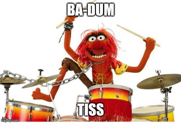 animal drums | BA-DUM TISS | image tagged in animal drums | made w/ Imgflip meme maker