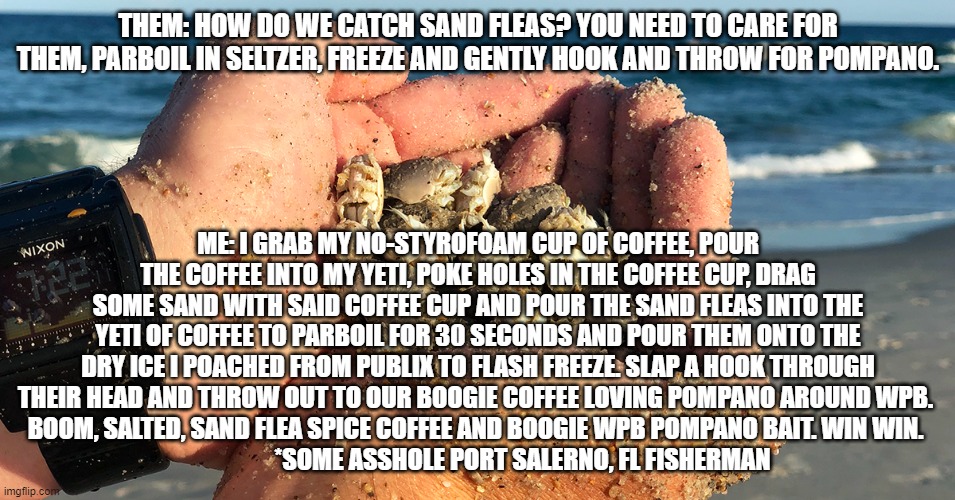 Sand fleas | THEM: HOW DO WE CATCH SAND FLEAS? YOU NEED TO CARE FOR THEM, PARBOIL IN SELTZER, FREEZE AND GENTLY HOOK AND THROW FOR POMPANO. ME: I GRAB MY NO-STYROFOAM CUP OF COFFEE, POUR THE COFFEE INTO MY YETI, POKE HOLES IN THE COFFEE CUP, DRAG SOME SAND WITH SAID COFFEE CUP AND POUR THE SAND FLEAS INTO THE YETI OF COFFEE TO PARBOIL FOR 30 SECONDS AND POUR THEM ONTO THE DRY ICE I POACHED FROM PUBLIX TO FLASH FREEZE. SLAP A HOOK THROUGH THEIR HEAD AND THROW OUT TO OUR BOOGIE COFFEE LOVING POMPANO AROUND WPB. 
BOOM, SALTED, SAND FLEA SPICE COFFEE AND BOOGIE WPB POMPANO BAIT. WIN WIN. 
                  *SOME ASSHOLE PORT SALERNO, FL FISHERMAN | image tagged in fishing,fishing for upvotes,funny,funny memes | made w/ Imgflip meme maker