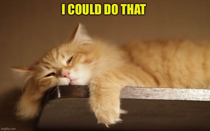 Lazy Cat | I COULD DO THAT | image tagged in lazy cat | made w/ Imgflip meme maker