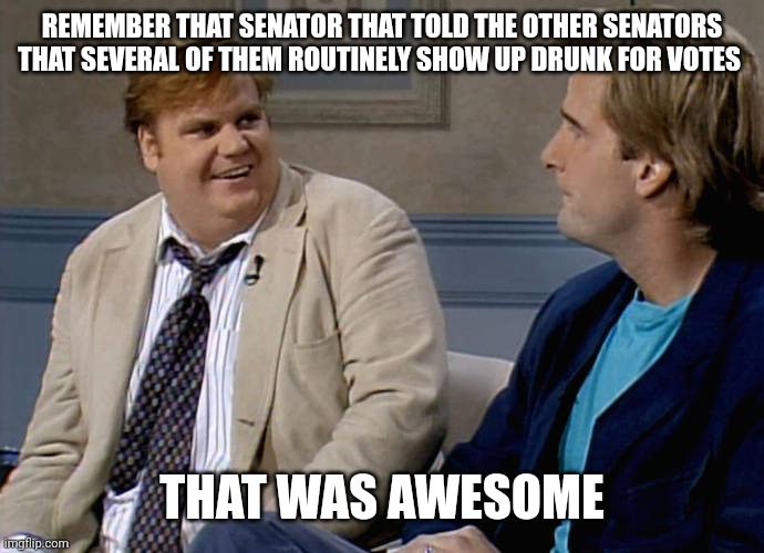 Remember that time | REMEMBER THAT SENATOR THAT TOLD THE OTHER SENATORS THAT SEVERAL OF THEM ROUTINELY SHOW UP DRUNK FOR VOTES THAT WAS AWESOME | image tagged in remember that time | made w/ Imgflip meme maker