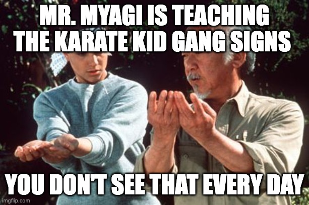 karate kid part 4 | MR. MYAGI IS TEACHING THE KARATE KID GANG SIGNS; YOU DON'T SEE THAT EVERY DAY | image tagged in karate kid | made w/ Imgflip meme maker