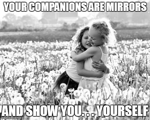 YOUR COMPANIONS ARE MIRRORS AND SHOW YOU. . . YOURSELF | made w/ Imgflip meme maker