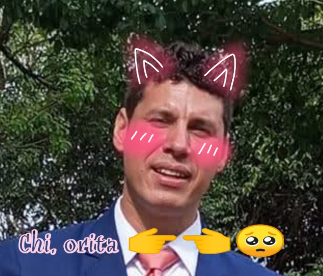 Chi orita uwu Blank Meme Template