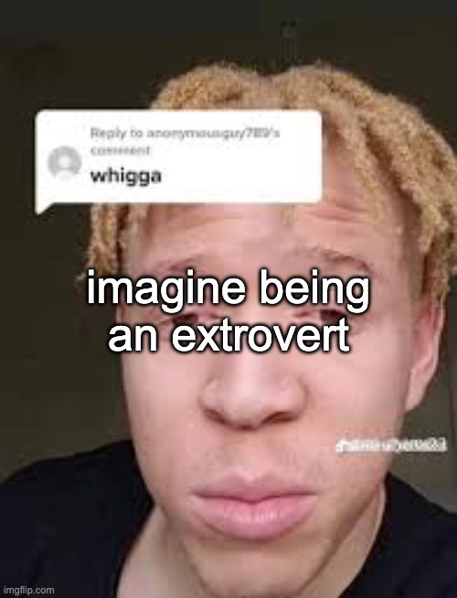 imagine liking PEOPLE | imagine being an extrovert | image tagged in whigga | made w/ Imgflip meme maker