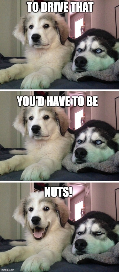 Bad pun dogs | TO DRIVE THAT YOU'D HAVE TO BE NUTS! | image tagged in bad pun dogs | made w/ Imgflip meme maker