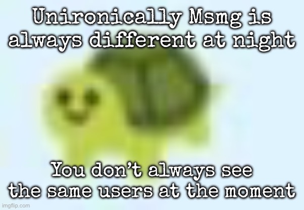 low quality turtle | Unironically Msmg is always different at night; You don’t always see the same users at the moment | image tagged in low quality turtle,msmg | made w/ Imgflip meme maker