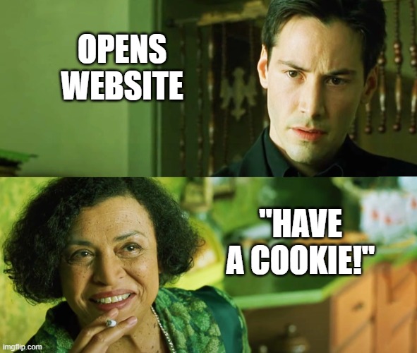 Matrix | OPENS
WEBSITE "HAVE
A COOKIE!" | image tagged in matrix | made w/ Imgflip meme maker