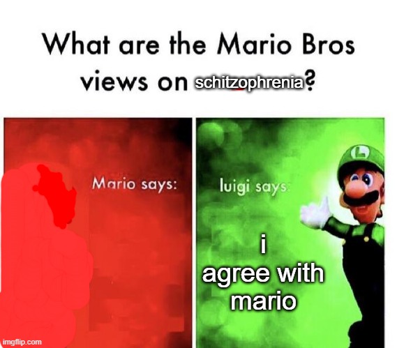 Mario Bros Views | schitzophrenia; i agree with mario | image tagged in mario bros views | made w/ Imgflip meme maker