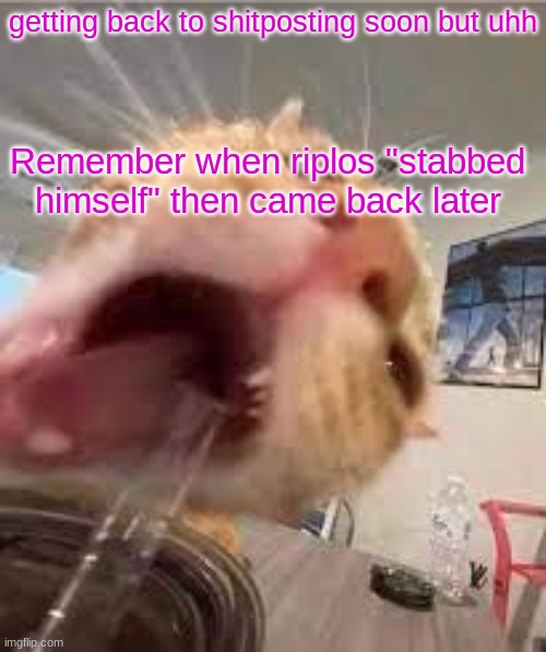 Silly | getting back to shitposting soon but uhh; Remember when riplos "stabbed himself" then came back later | image tagged in silly | made w/ Imgflip meme maker