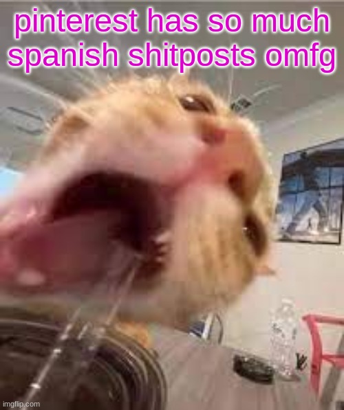 Silly | pinterest has so much spanish shitposts omfg | image tagged in silly | made w/ Imgflip meme maker