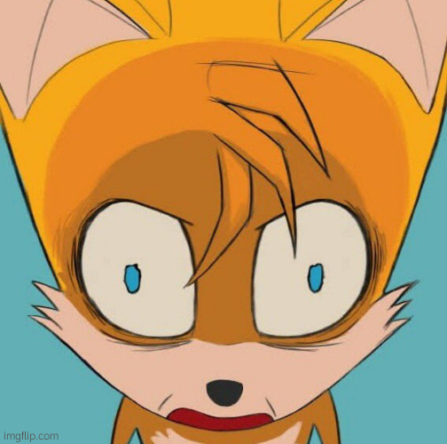 Tails wtf | image tagged in tails wtf | made w/ Imgflip meme maker