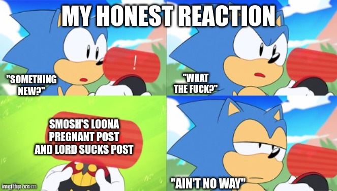 The Sonic Mania Meme | MY HONEST REACTION SMOSH'S LOONA PREGNANT POST AND LORD SUCKS POST "AIN'T NO WAY" "SOMETHING NEW?" "WHAT THE FUCK?" | image tagged in the sonic mania meme | made w/ Imgflip meme maker