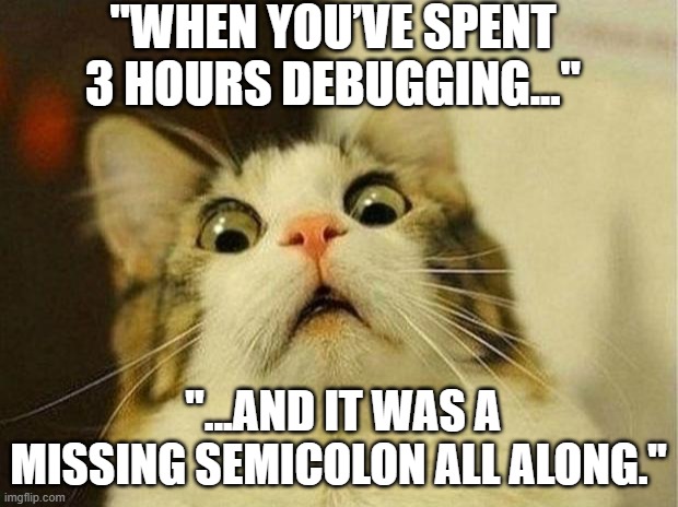 Scared Cat Meme | "WHEN YOU’VE SPENT 3 HOURS DEBUGGING..."; "...AND IT WAS A MISSING SEMICOLON ALL ALONG." | image tagged in memes,scared cat | made w/ Imgflip meme maker