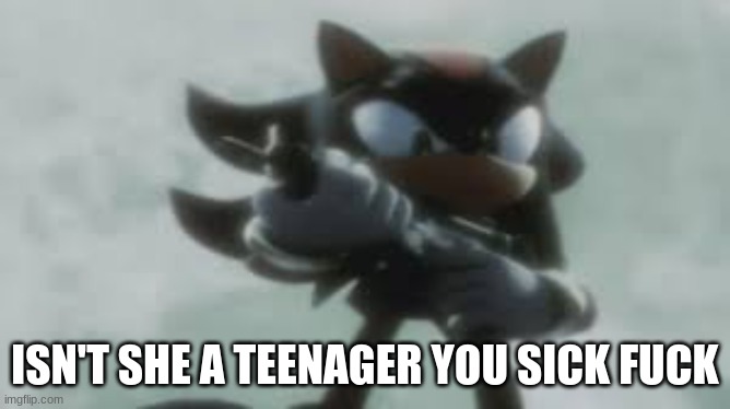 Shadow the hedgehog with a gun | ISN'T SHE A TEENAGER YOU SICK FUCK | image tagged in shadow the hedgehog with a gun | made w/ Imgflip meme maker