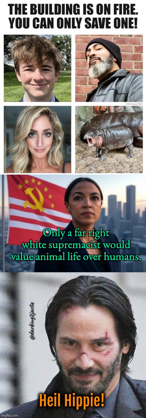 Hippo Lives Matter! | Only a far right white supremacist would value animal life over humans. @darking2jarlie; Heil Hippie! | image tagged in supreme leader aoc,john wick approves,liberals,liberal logic,politics | made w/ Imgflip meme maker