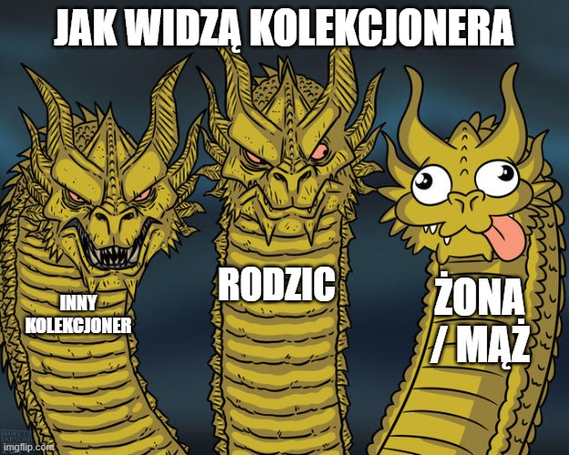 jak iwdzą kolekcjonera winyli | JAK WIDZĄ KOLEKCJONERA; RODZIC; ŻONA / MĄŻ; INNY KOLEKCJONER | image tagged in three-headed dragon | made w/ Imgflip meme maker